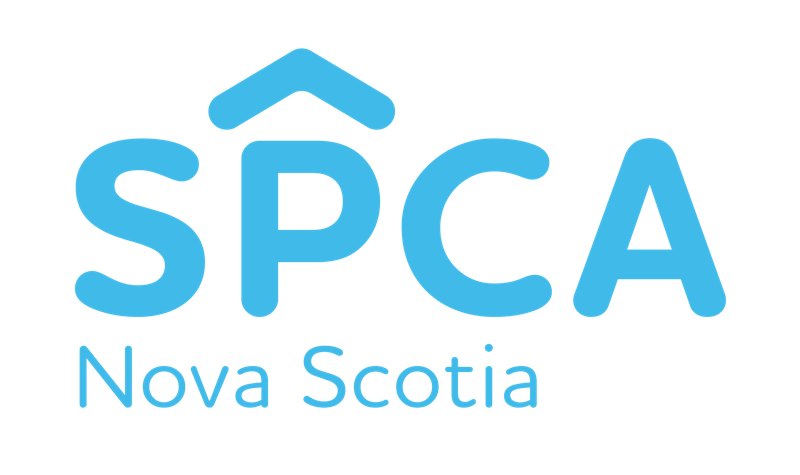 Nova Scotia Spca Saving Lives Creating Families