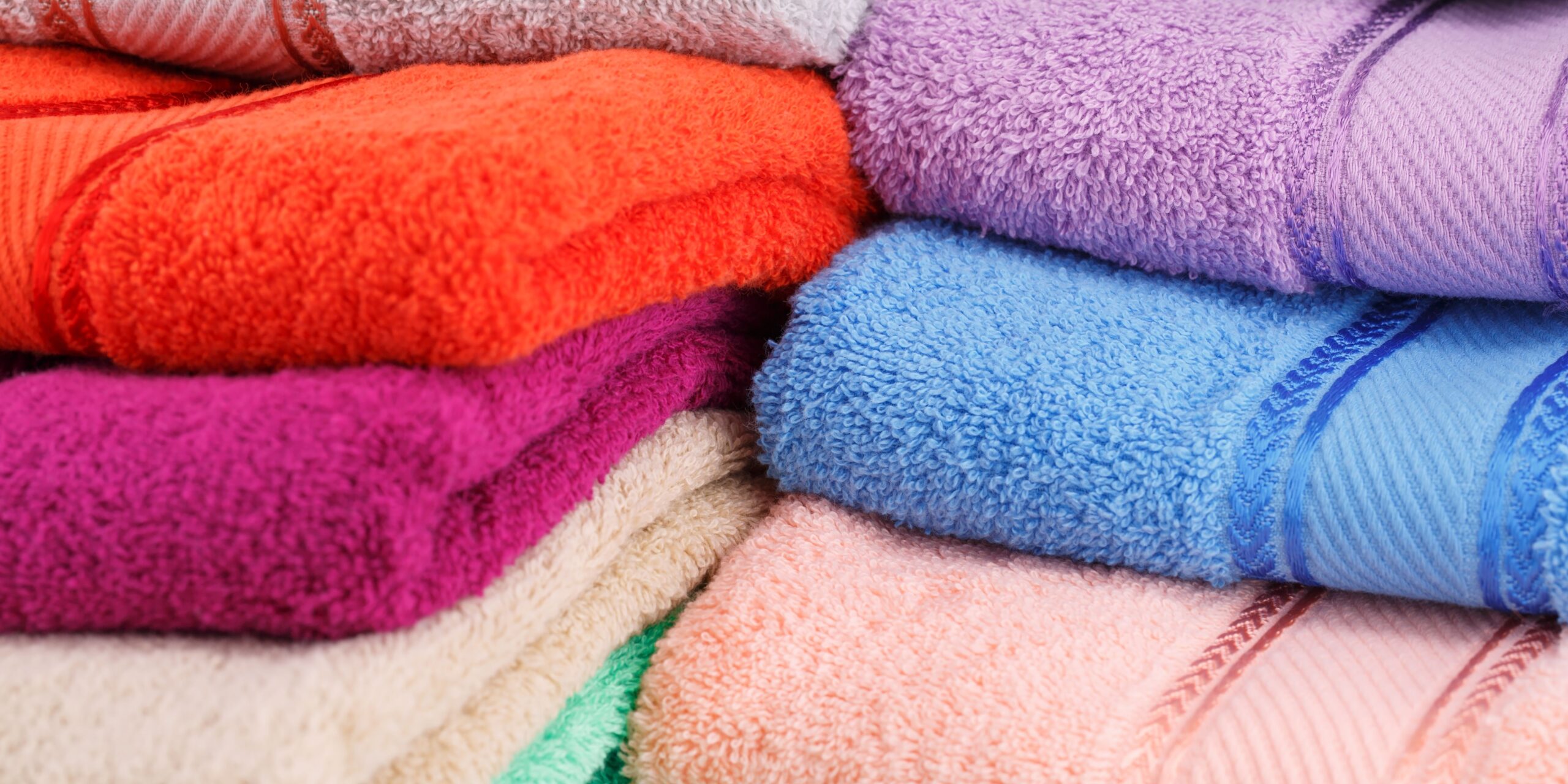 From Thrown Away to Treasured Sheldon’s Story Nova Scotia SPCA