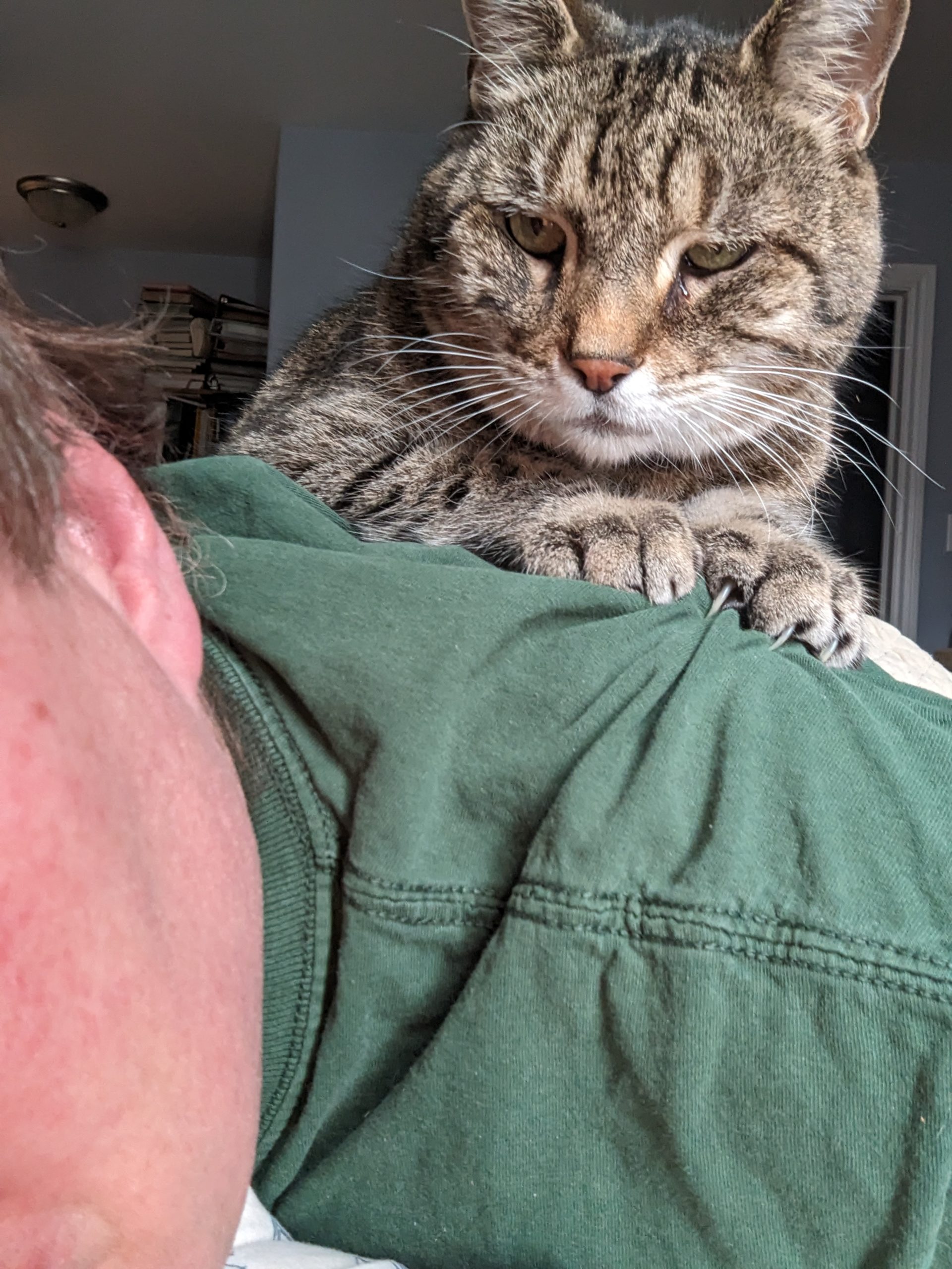 Life is Better with a Cat: Chris and Ripp’s Story - Nova Scotia SPCA